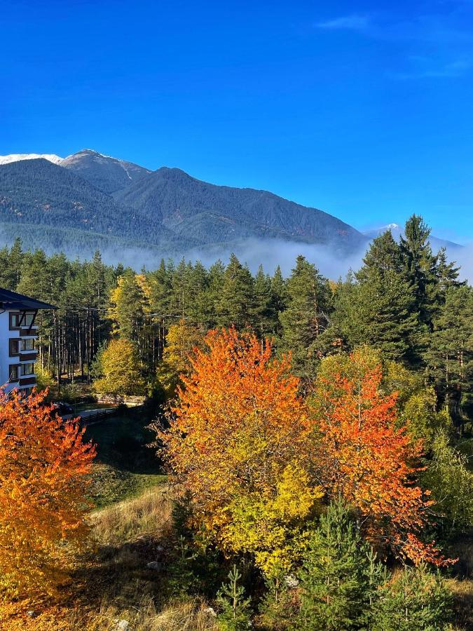Park Hotel Panorama Bansko Zewnętrze zdjęcie